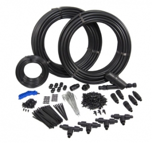 10 деревьев + 10 кустарников